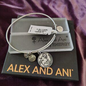 Alex and Ani Sagittarius Bracelet Bangle NWT 802